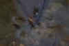 224887 – Photo : D. Martinez – Philippines
